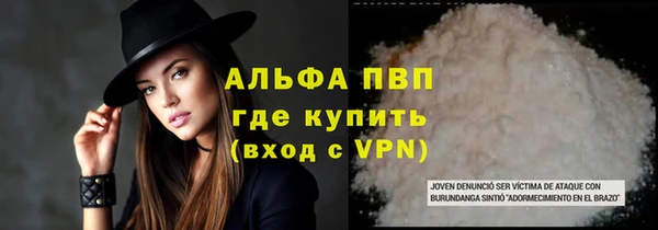 индика Баксан